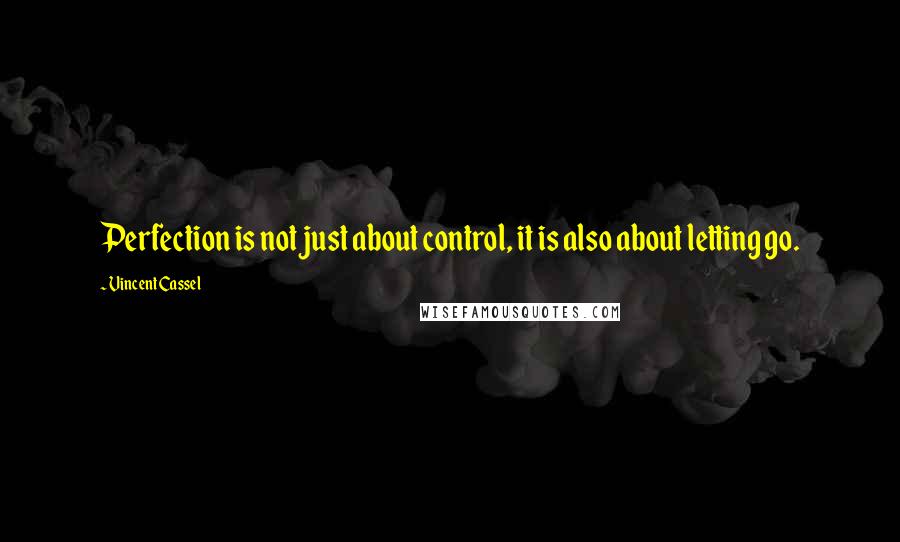 Vincent Cassel Quotes: Perfection is not just about control, it is also about letting go.