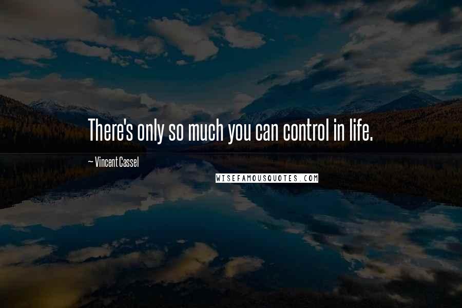 Vincent Cassel Quotes: There's only so much you can control in life.