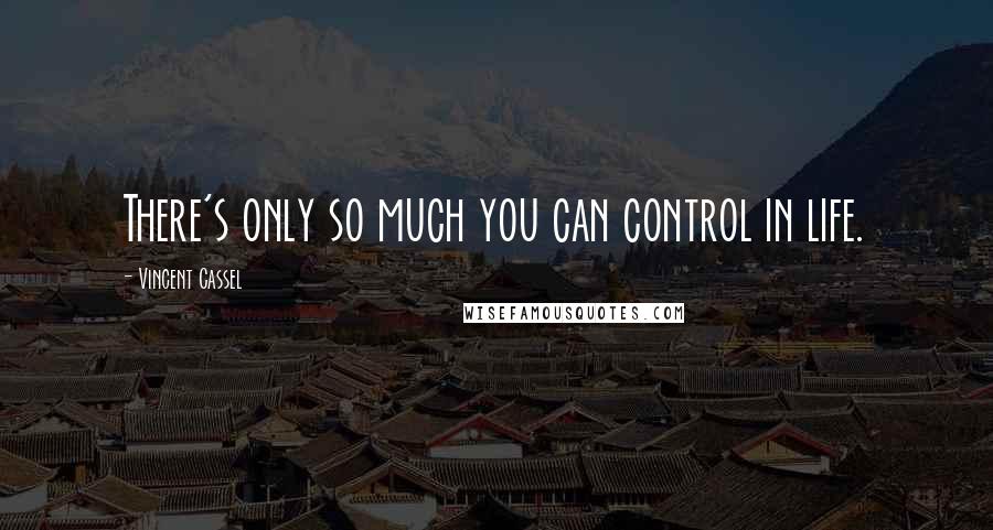 Vincent Cassel Quotes: There's only so much you can control in life.