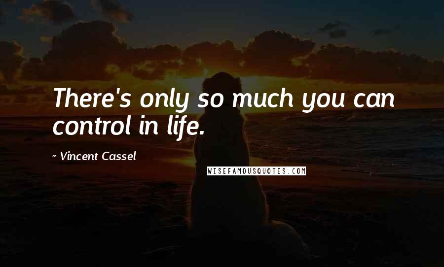 Vincent Cassel Quotes: There's only so much you can control in life.