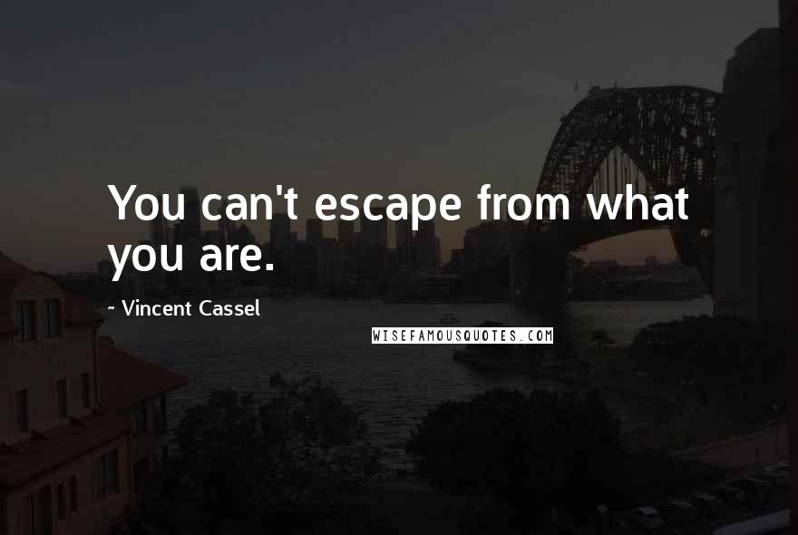 Vincent Cassel Quotes: You can't escape from what you are.