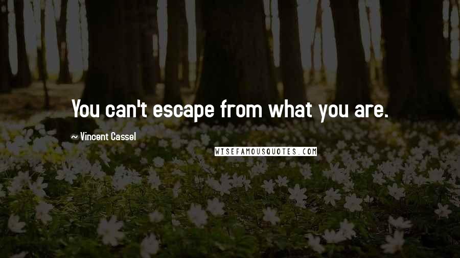 Vincent Cassel Quotes: You can't escape from what you are.