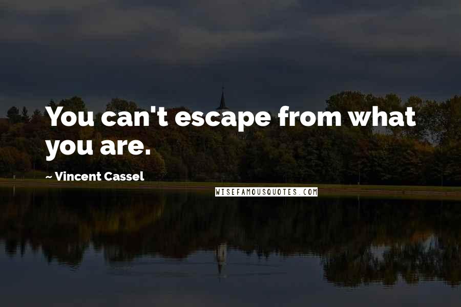 Vincent Cassel Quotes: You can't escape from what you are.