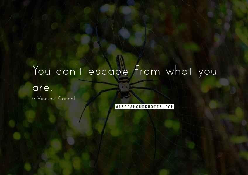 Vincent Cassel Quotes: You can't escape from what you are.