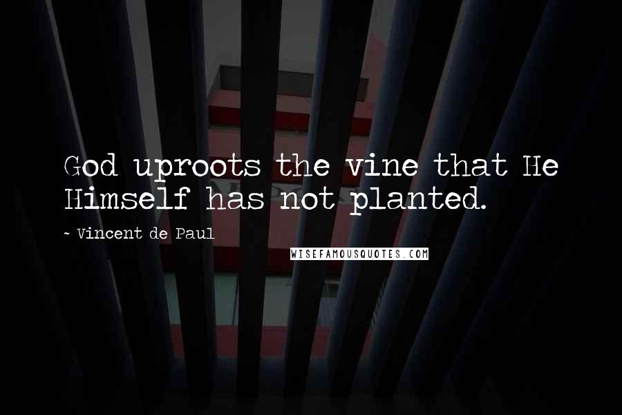 Vincent De Paul Quotes: God uproots the vine that He Himself has not planted.