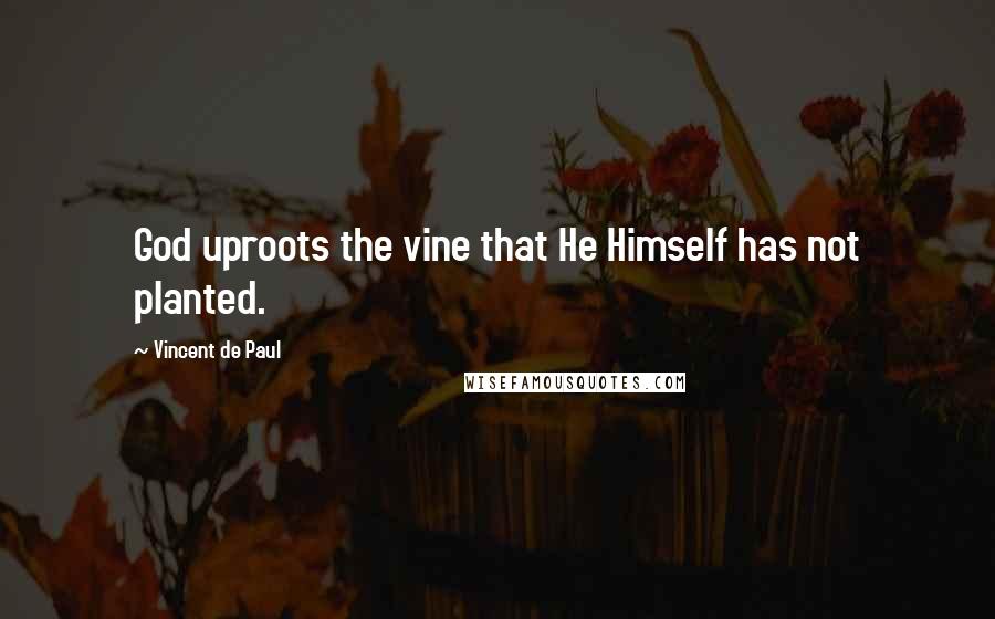 Vincent De Paul Quotes: God uproots the vine that He Himself has not planted.