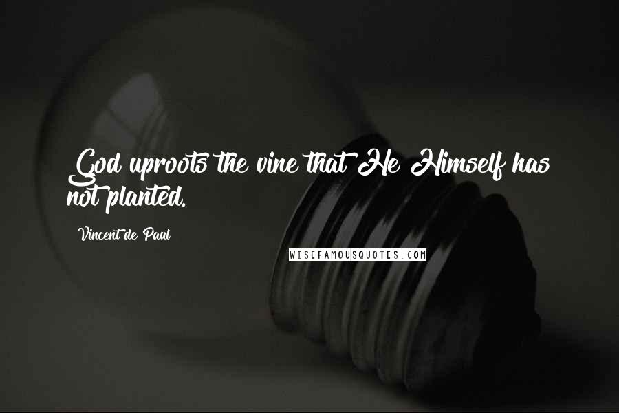 Vincent De Paul Quotes: God uproots the vine that He Himself has not planted.