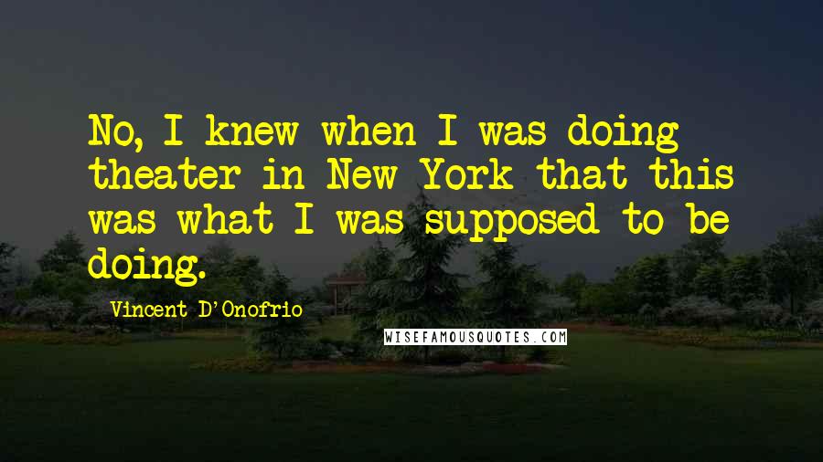 Vincent D'Onofrio Quotes: No, I knew when I was doing theater in New York that this was what I was supposed to be doing.