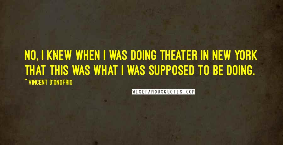 Vincent D'Onofrio Quotes: No, I knew when I was doing theater in New York that this was what I was supposed to be doing.