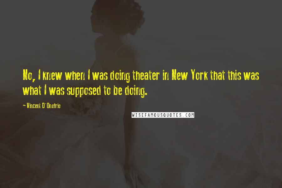 Vincent D'Onofrio Quotes: No, I knew when I was doing theater in New York that this was what I was supposed to be doing.