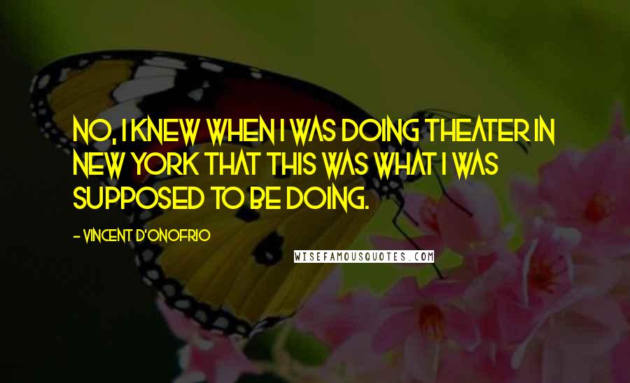 Vincent D'Onofrio Quotes: No, I knew when I was doing theater in New York that this was what I was supposed to be doing.