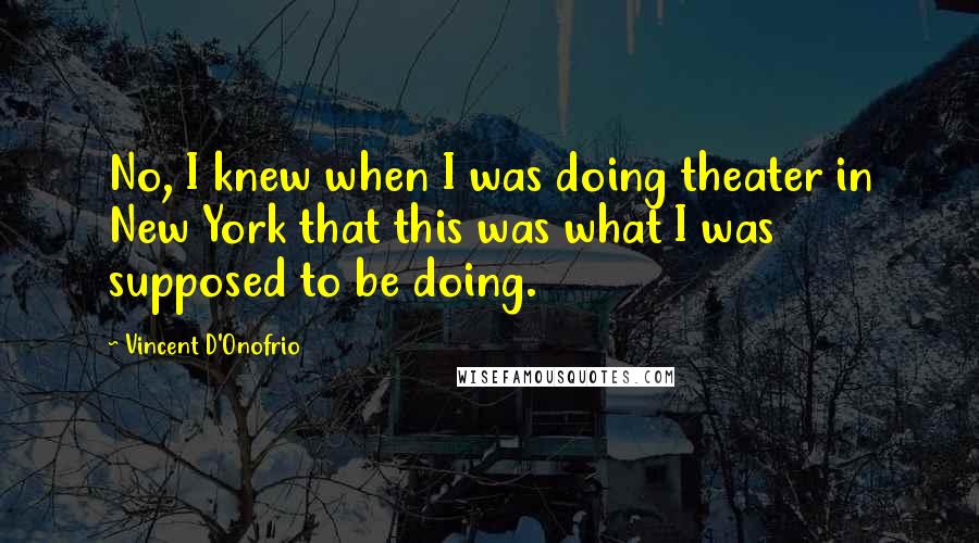Vincent D'Onofrio Quotes: No, I knew when I was doing theater in New York that this was what I was supposed to be doing.