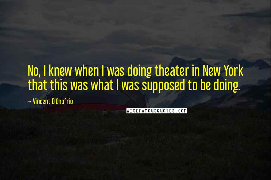 Vincent D'Onofrio Quotes: No, I knew when I was doing theater in New York that this was what I was supposed to be doing.