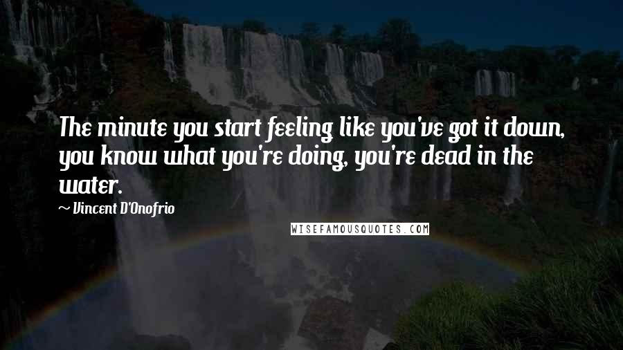 Vincent D'Onofrio Quotes: The minute you start feeling like you've got it down, you know what you're doing, you're dead in the water.