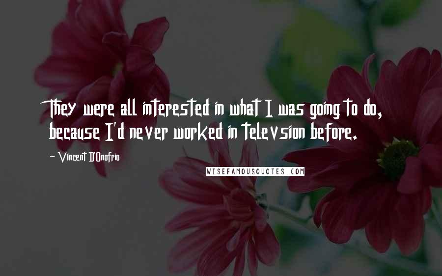 Vincent D'Onofrio Quotes: They were all interested in what I was going to do, because I'd never worked in televsion before.