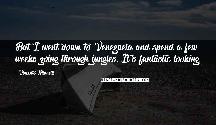 Vincente Minnelli Quotes: But I went down to Venezuela and spend a few weeks going through jungles. It's fantastic looking.