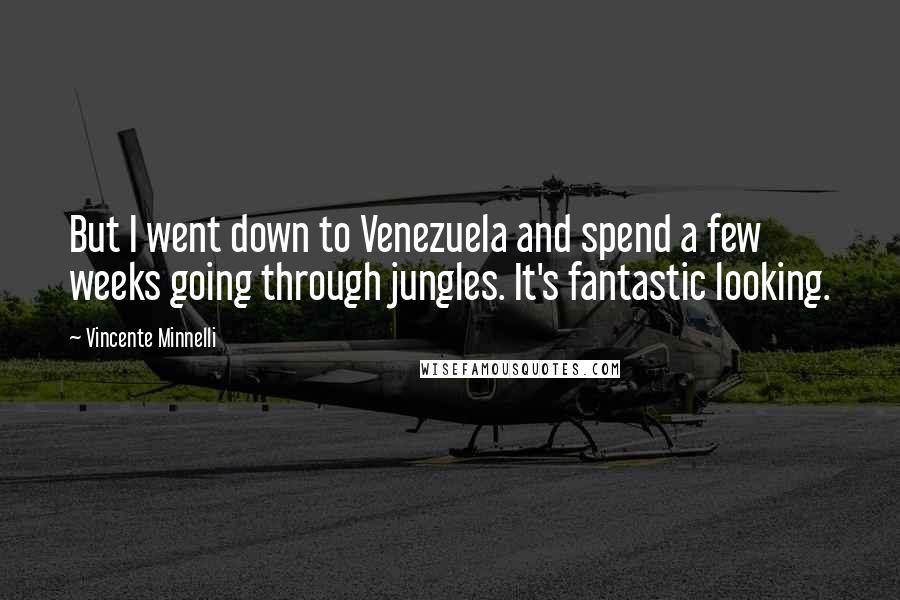 Vincente Minnelli Quotes: But I went down to Venezuela and spend a few weeks going through jungles. It's fantastic looking.