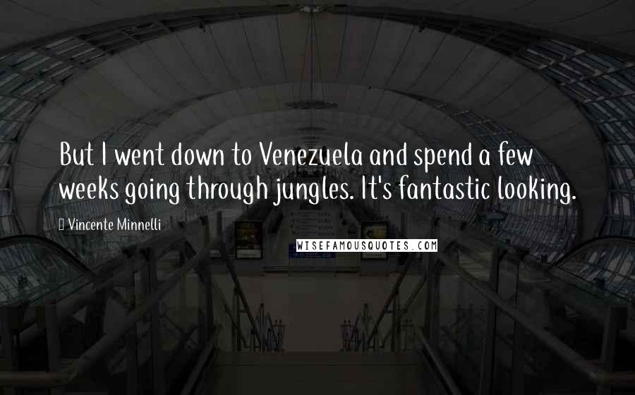 Vincente Minnelli Quotes: But I went down to Venezuela and spend a few weeks going through jungles. It's fantastic looking.