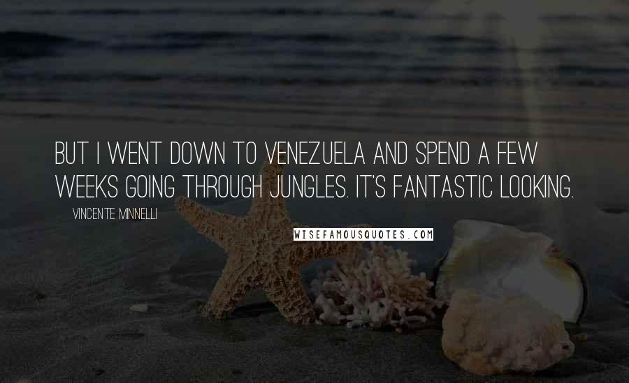 Vincente Minnelli Quotes: But I went down to Venezuela and spend a few weeks going through jungles. It's fantastic looking.