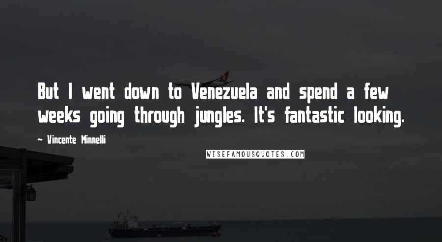 Vincente Minnelli Quotes: But I went down to Venezuela and spend a few weeks going through jungles. It's fantastic looking.