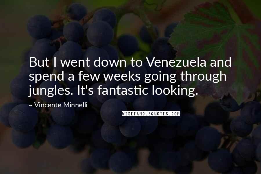 Vincente Minnelli Quotes: But I went down to Venezuela and spend a few weeks going through jungles. It's fantastic looking.