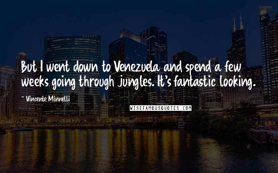 Vincente Minnelli Quotes: But I went down to Venezuela and spend a few weeks going through jungles. It's fantastic looking.