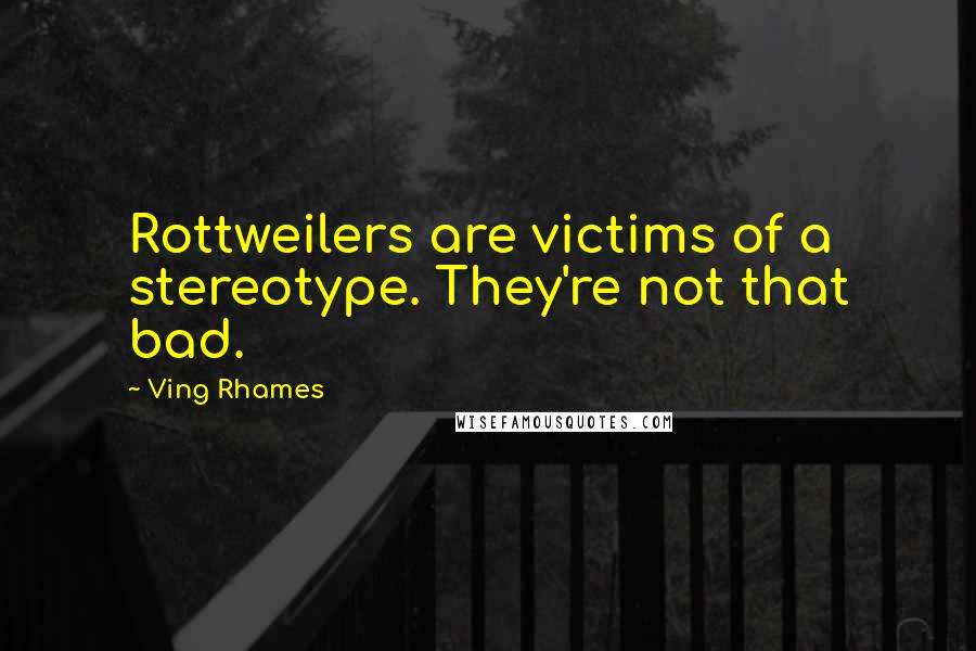 Ving Rhames Quotes: Rottweilers are victims of a stereotype. They're not that bad.