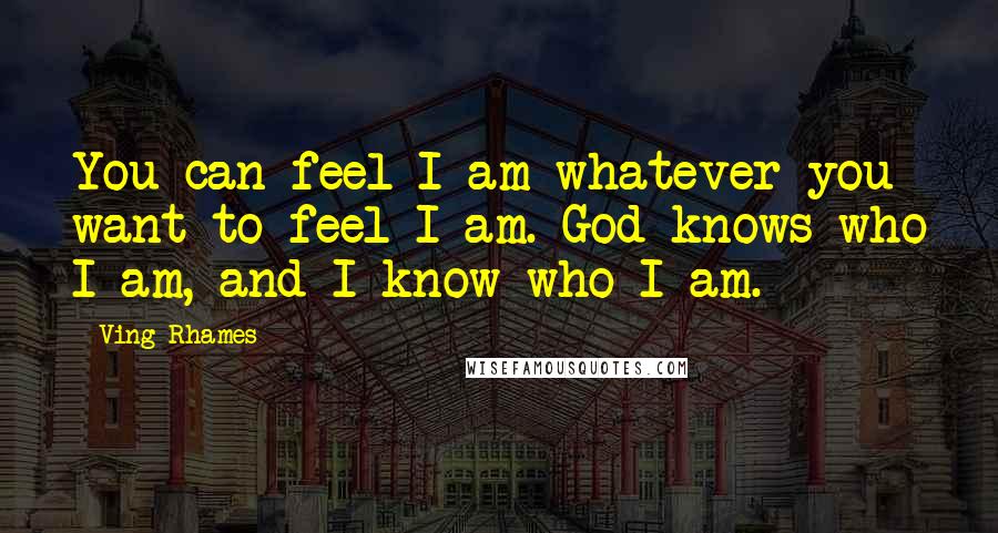 Ving Rhames Quotes: You can feel I am whatever you want to feel I am. God knows who I am, and I know who I am.