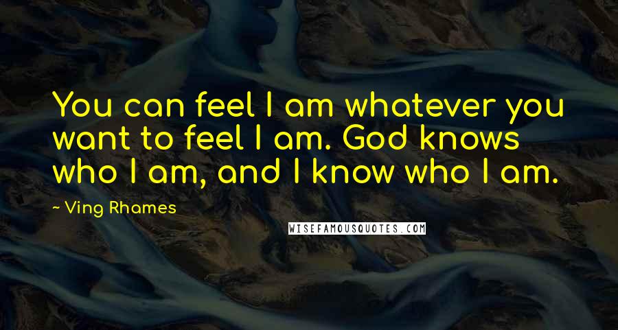 Ving Rhames Quotes: You can feel I am whatever you want to feel I am. God knows who I am, and I know who I am.