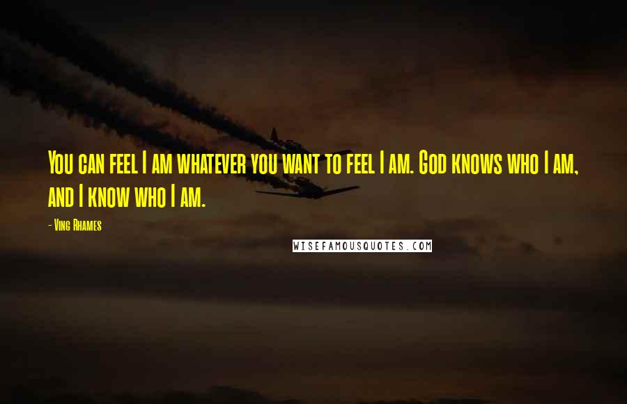 Ving Rhames Quotes: You can feel I am whatever you want to feel I am. God knows who I am, and I know who I am.