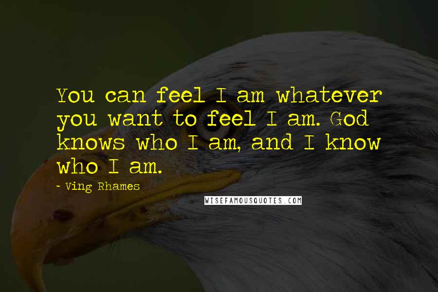 Ving Rhames Quotes: You can feel I am whatever you want to feel I am. God knows who I am, and I know who I am.