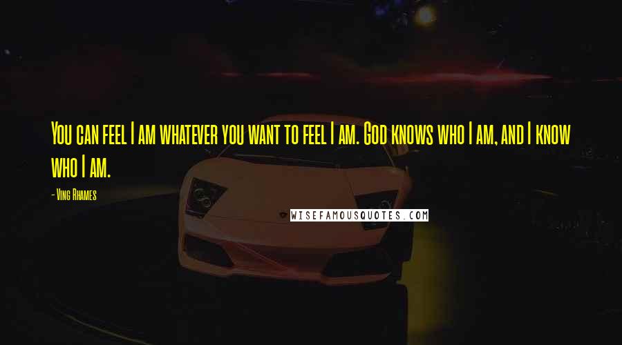 Ving Rhames Quotes: You can feel I am whatever you want to feel I am. God knows who I am, and I know who I am.