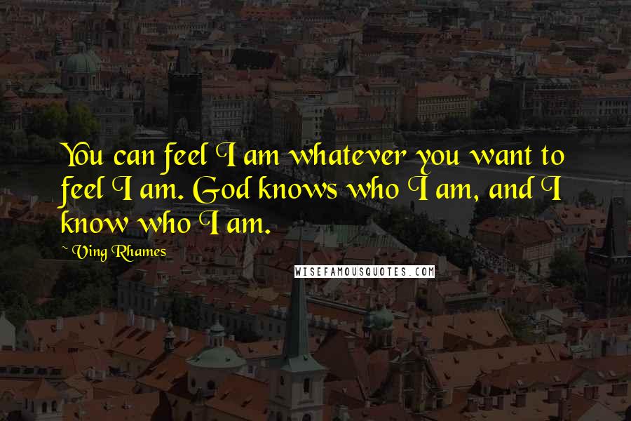 Ving Rhames Quotes: You can feel I am whatever you want to feel I am. God knows who I am, and I know who I am.