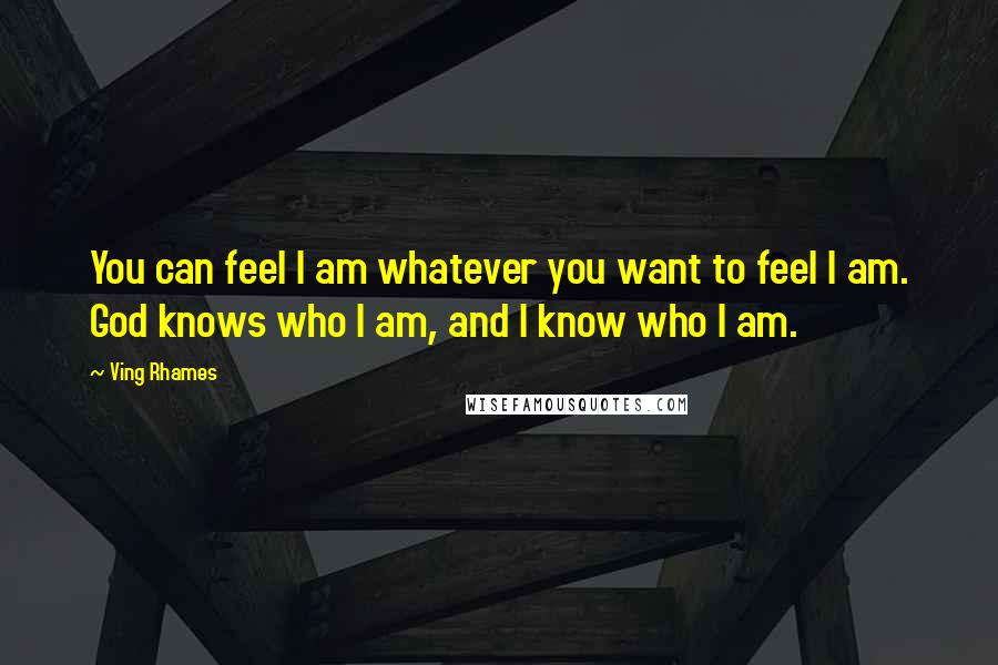 Ving Rhames Quotes: You can feel I am whatever you want to feel I am. God knows who I am, and I know who I am.