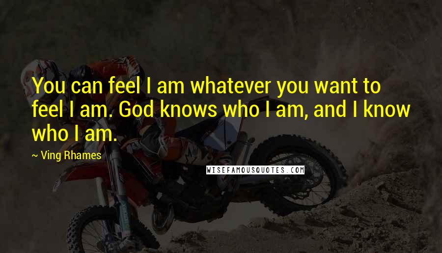 Ving Rhames Quotes: You can feel I am whatever you want to feel I am. God knows who I am, and I know who I am.