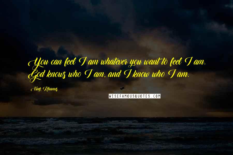 Ving Rhames Quotes: You can feel I am whatever you want to feel I am. God knows who I am, and I know who I am.