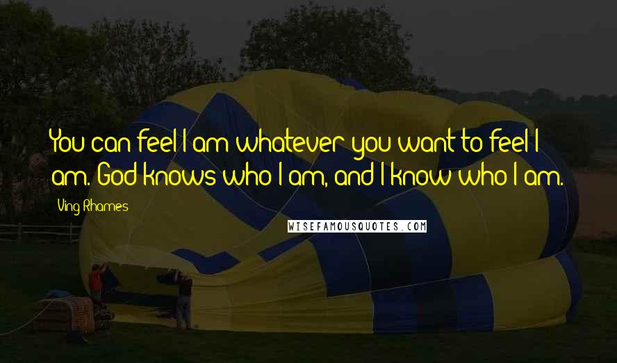 Ving Rhames Quotes: You can feel I am whatever you want to feel I am. God knows who I am, and I know who I am.