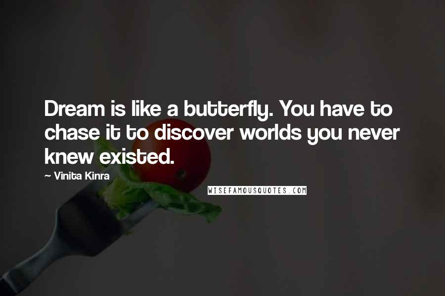 Vinita Kinra Quotes: Dream is like a butterfly. You have to chase it to discover worlds you never knew existed.