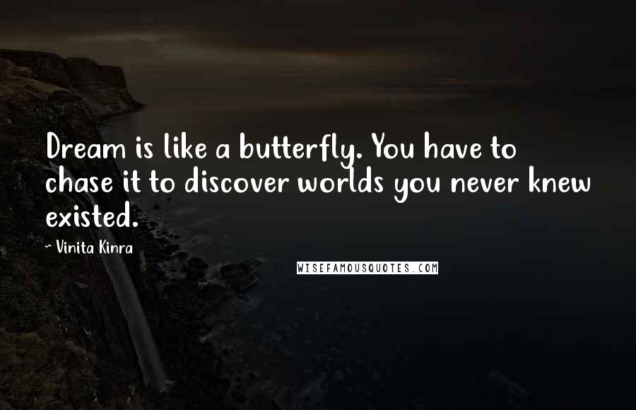 Vinita Kinra Quotes: Dream is like a butterfly. You have to chase it to discover worlds you never knew existed.