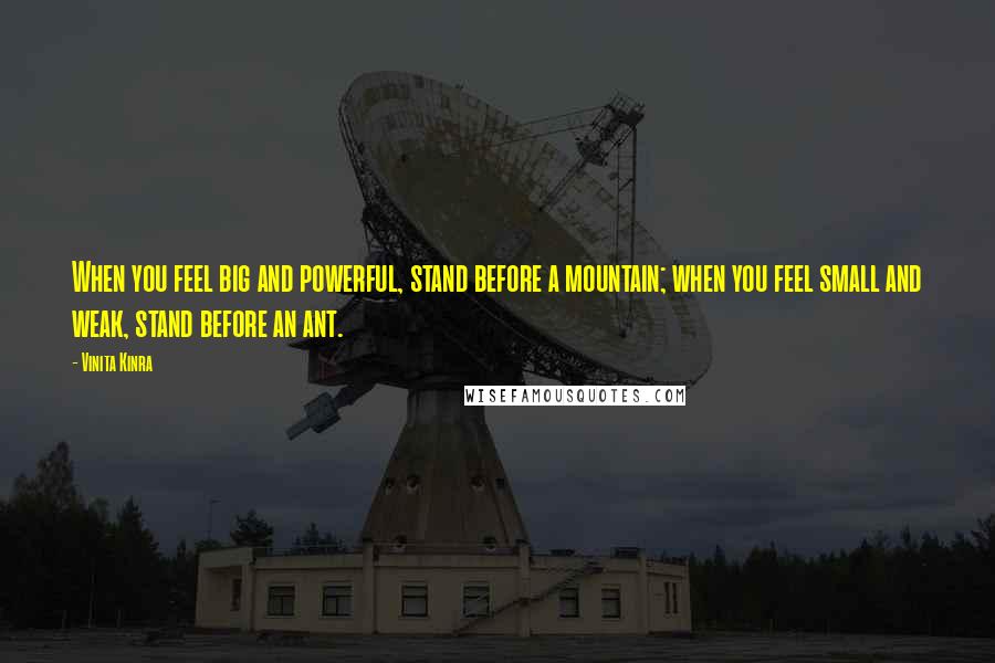 Vinita Kinra Quotes: When you feel big and powerful, stand before a mountain; when you feel small and weak, stand before an ant.