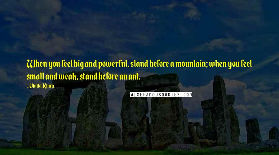 Vinita Kinra Quotes: When you feel big and powerful, stand before a mountain; when you feel small and weak, stand before an ant.