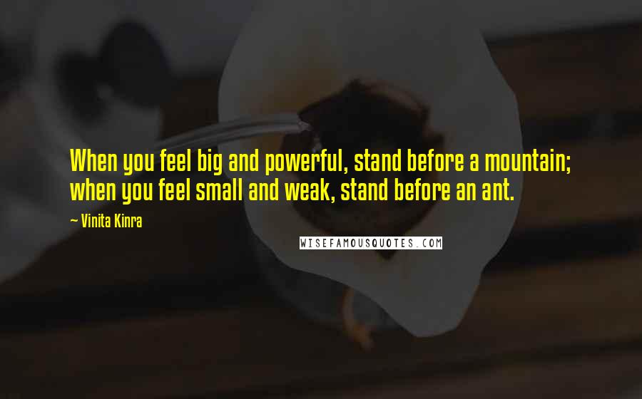 Vinita Kinra Quotes: When you feel big and powerful, stand before a mountain; when you feel small and weak, stand before an ant.