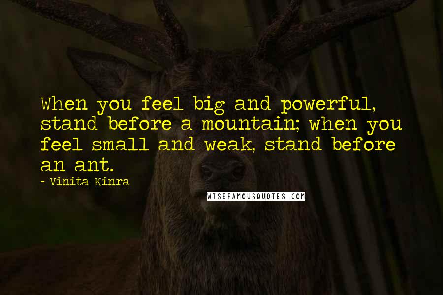 Vinita Kinra Quotes: When you feel big and powerful, stand before a mountain; when you feel small and weak, stand before an ant.