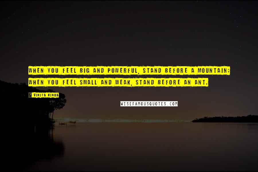 Vinita Kinra Quotes: When you feel big and powerful, stand before a mountain; when you feel small and weak, stand before an ant.