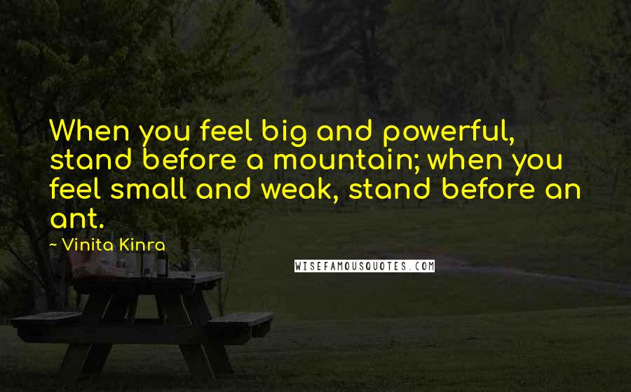 Vinita Kinra Quotes: When you feel big and powerful, stand before a mountain; when you feel small and weak, stand before an ant.