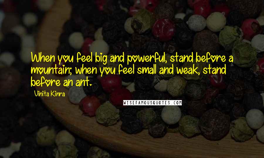 Vinita Kinra Quotes: When you feel big and powerful, stand before a mountain; when you feel small and weak, stand before an ant.