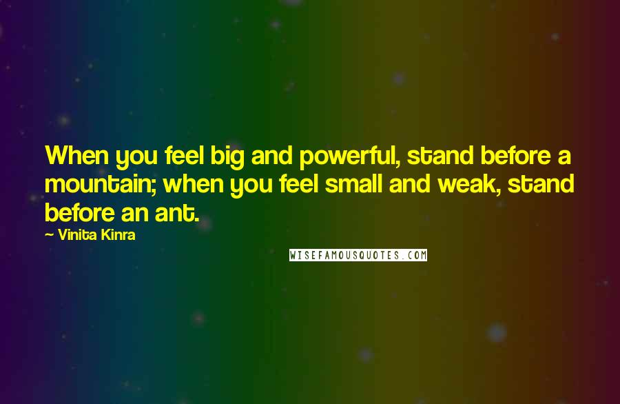 Vinita Kinra Quotes: When you feel big and powerful, stand before a mountain; when you feel small and weak, stand before an ant.