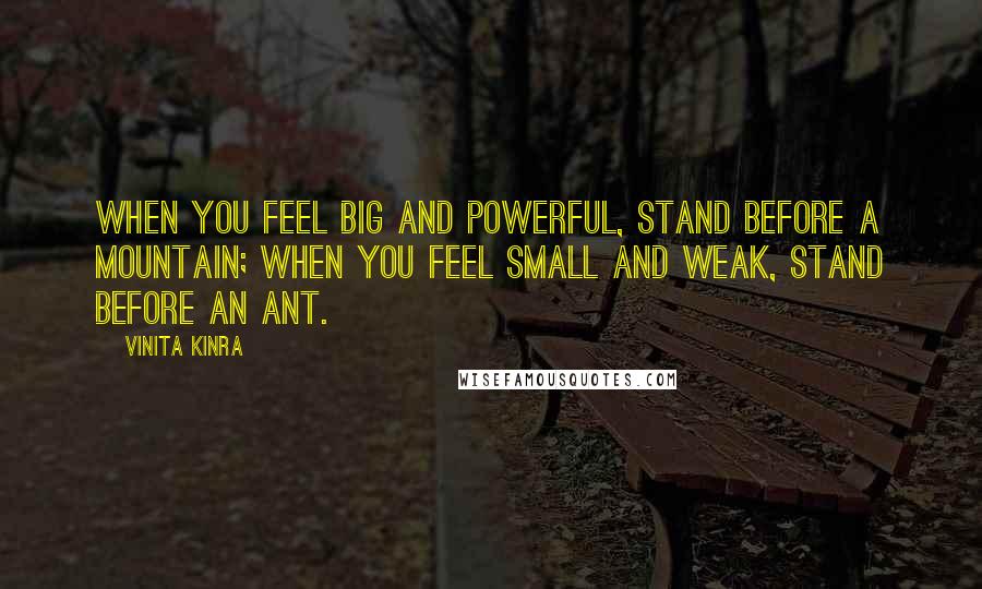 Vinita Kinra Quotes: When you feel big and powerful, stand before a mountain; when you feel small and weak, stand before an ant.