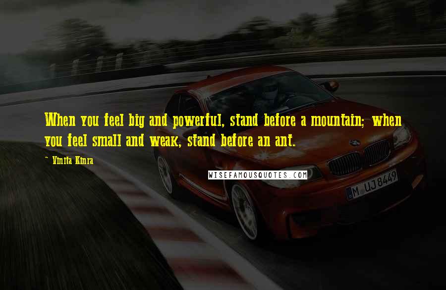 Vinita Kinra Quotes: When you feel big and powerful, stand before a mountain; when you feel small and weak, stand before an ant.