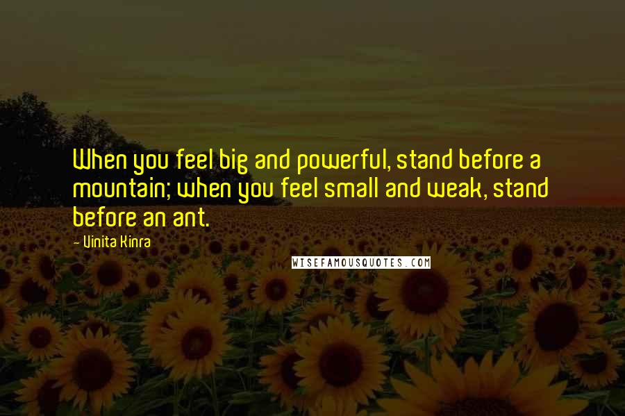 Vinita Kinra Quotes: When you feel big and powerful, stand before a mountain; when you feel small and weak, stand before an ant.